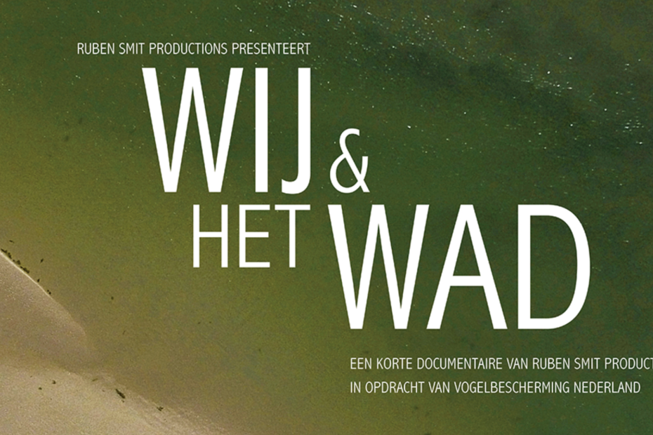 Wij & het WAD – Waddencafé on tour