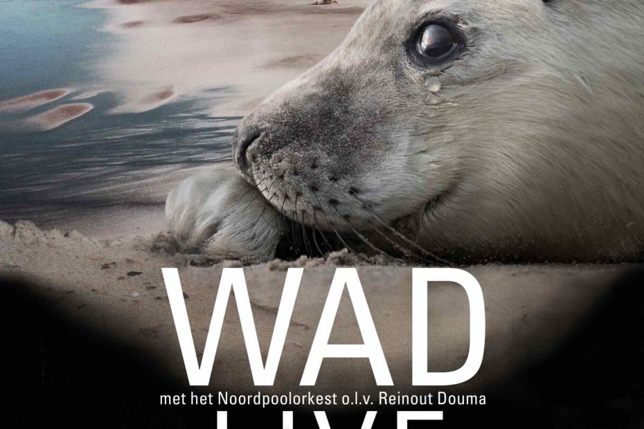 Wad Live!