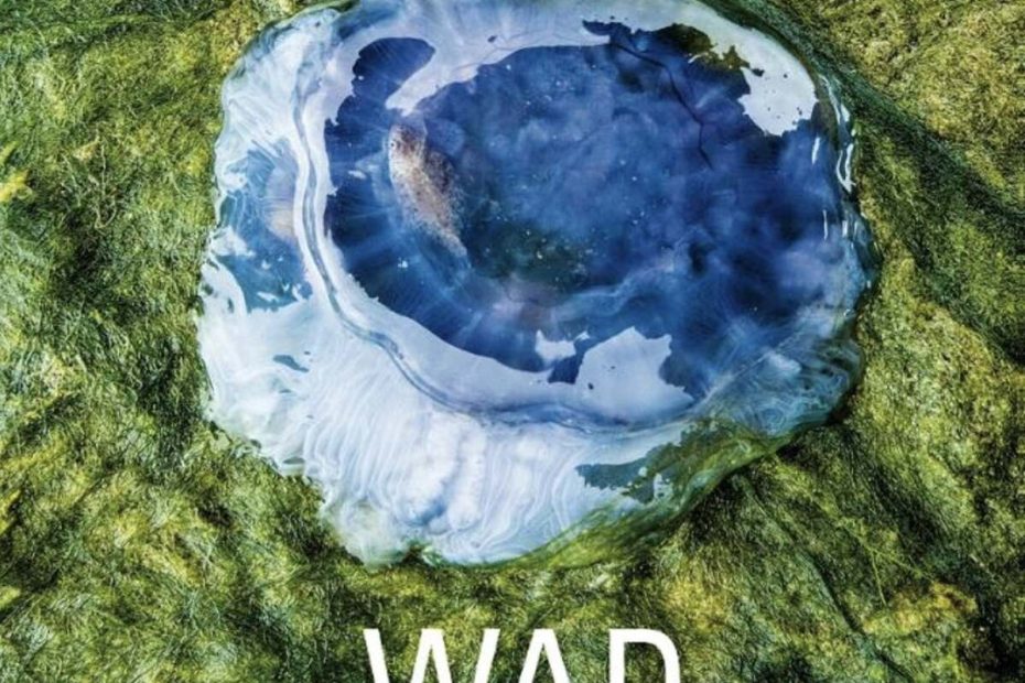 Wad – Het boek