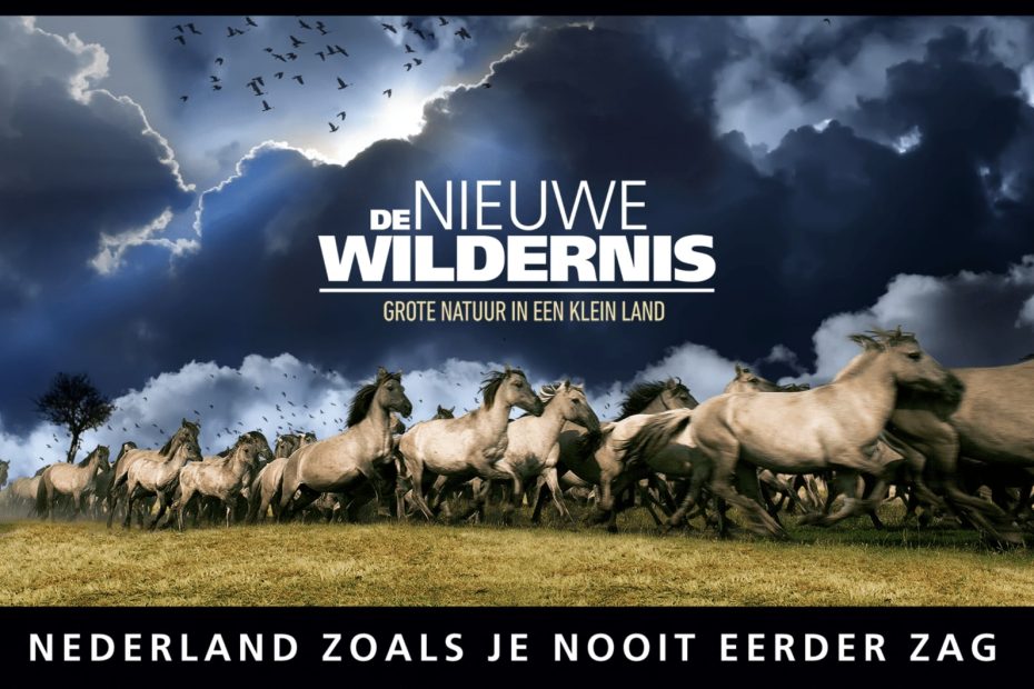 De Nieuwe Wildernis