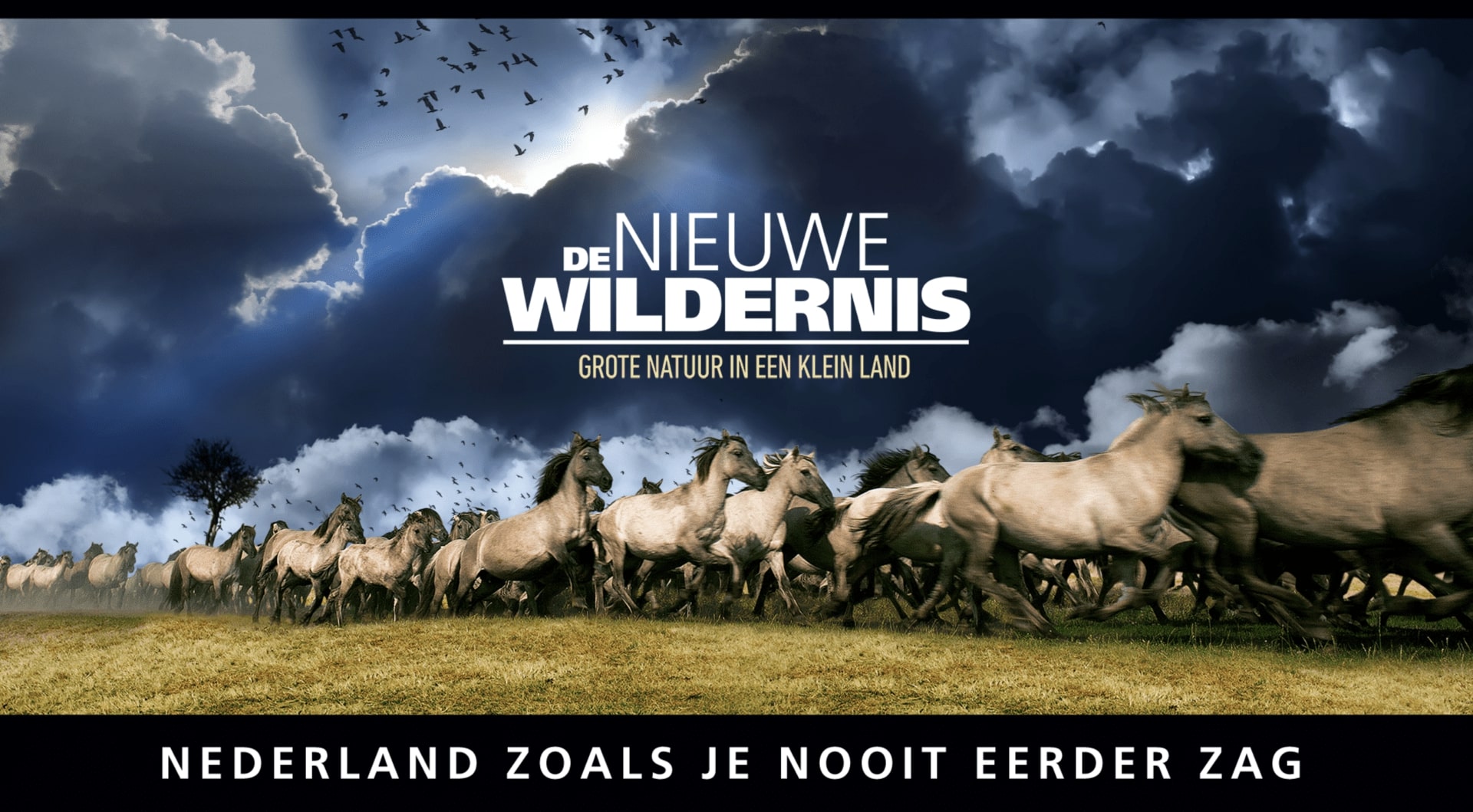 De Nieuwe Wildernis