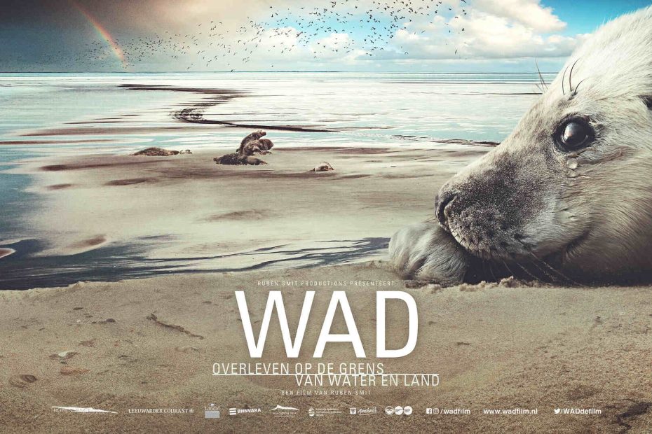 Wad (2018)