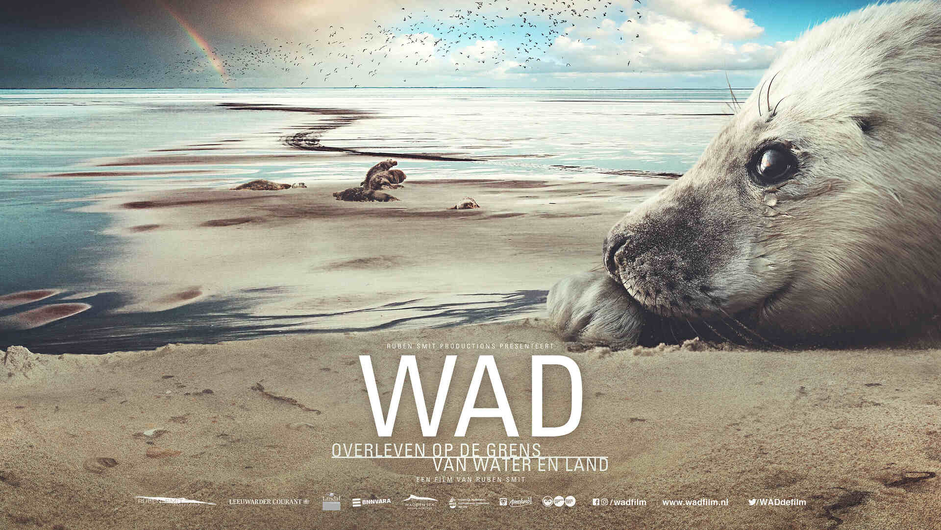 Wad (2018)