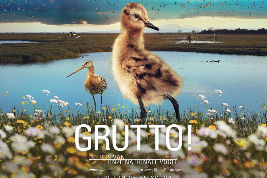 Grutto! (2022)